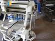 Ninhadeira pasta con 250 kg capacidad tiempo