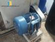 Extrusora para pasta 250 kg / h Braiband