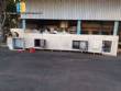Horno de gas de 30 placas alemn oblea