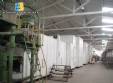 Lnea industrial para la produccin de espaguetis tallarines de pastas largas Braibanti