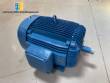 Motor elctrico convencional WEG