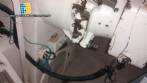 Duplex extrusora G.Mazzoni