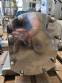 Bomba lobular de acero inoxidable 316 Alfa Laval