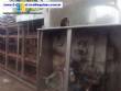 Freidora continua de patatas por 250 kg por hora