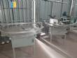 Sistema de lnea de llenado de latas Masipack Neife Brapenta para productos en polvo