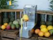 Peladora autom�tica para pi�a, mango y mel�n, 250 unidades por minuto Astra