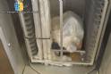 Horno rotatorio de marcepan a gas