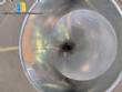 Tanque de acero inoxidable con bomba sanitaria