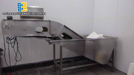 Lavadora y alimentador de acero inoxidable para pescados y mariscos.