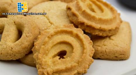 Consultora en proceso de produccin de galleta y chocolate con leche