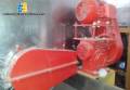 Lnea de chips para 250 kg