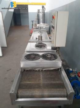 Pasteurizador continuo de pasta fresca 200 kg h IMA