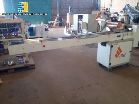 Empaquetador de paquete de flujo de acero inoxidable WEF M�quinas