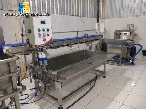 ​Prelavadora industrial para hortalizas de hoja