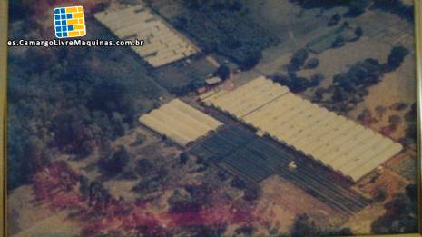 Empresa completa de hidropon�a